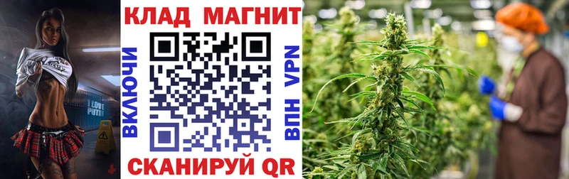 A PVP Лиски