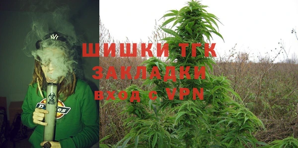 PSILOCYBIN Вязники