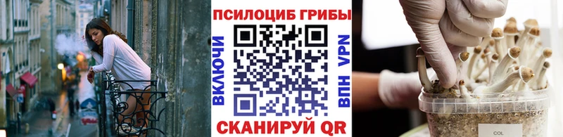 Галлюциногенные грибы Cubensis магазин Лиски